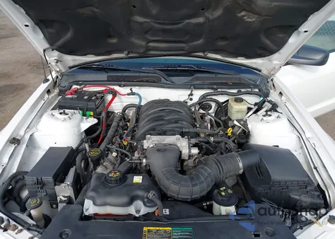 2006 Ford Mustang Gt z USA, uszkodzony, nr VIN 1ZVHT82H465249342